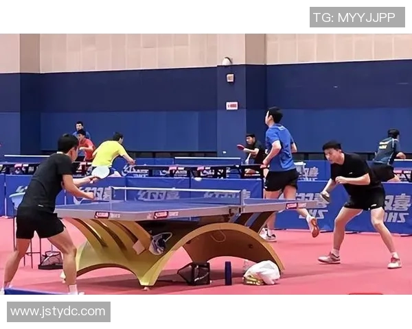 广州乒乓球队耐力表现数据分析与训练策略探讨