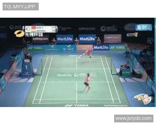 深入分析杭州羽毛球队与南京羽毛球队赛后技术表现与战术对比