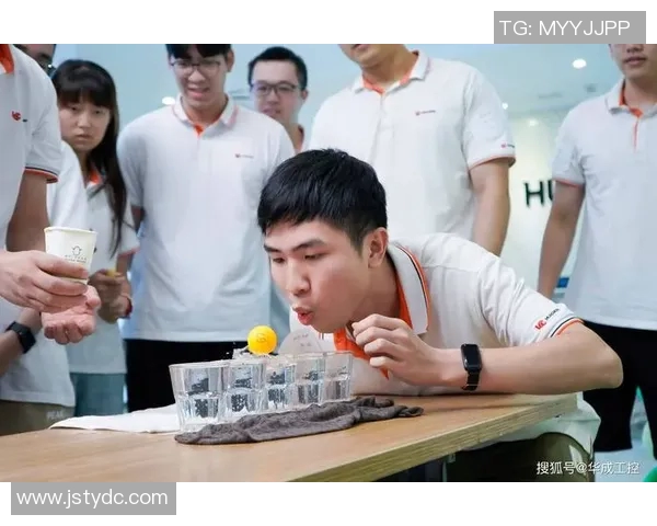聚焦乒乓球：探讨杭州乒乓球队员个人能力与团队协作的关系