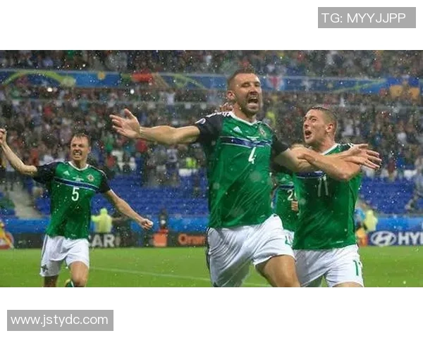 白俄罗斯与爱尔兰足球对决精彩回顾及赛后分析