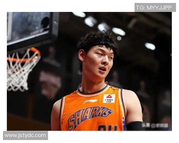 王哲林在CBA赛场的崛起与挑战：从新星到球队核心的成长之路