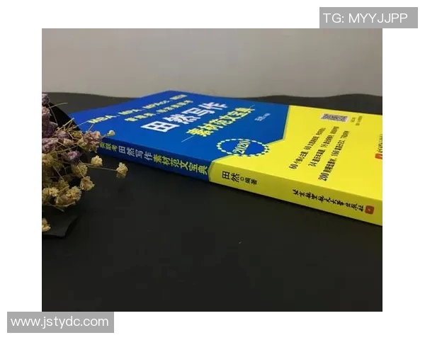 北京网球队的节奏体系与网球战术的深度解析与应用探讨MBA